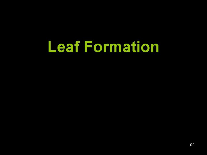 Leaf Formation 59 