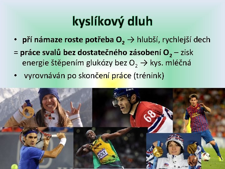 kyslíkový dluh • pří námaze roste potřeba O 2 → hlubší, rychlejší dech =