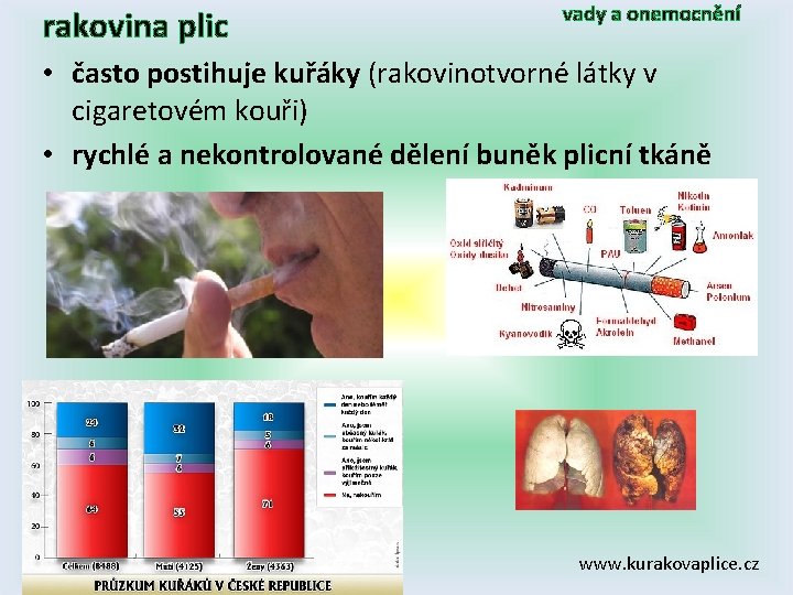 rakovina plic vady a onemocnění • často postihuje kuřáky (rakovinotvorné látky v cigaretovém kouři)