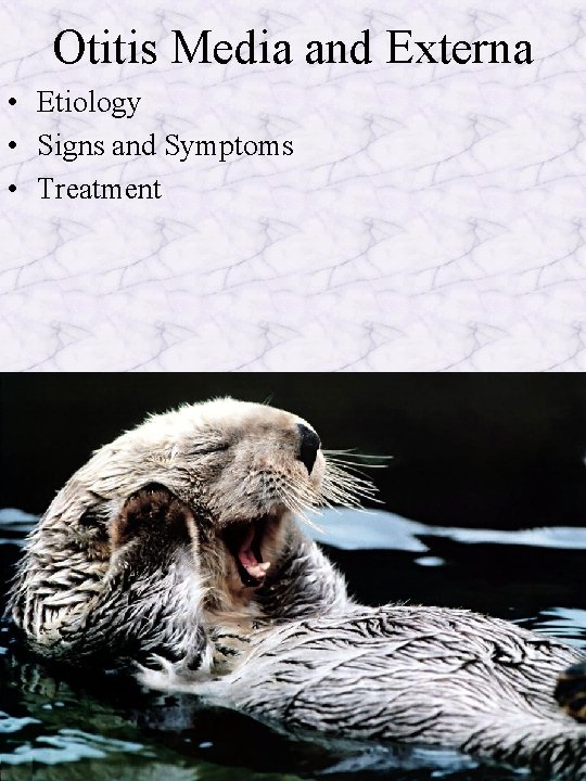 Otitis Media and Externa • Etiology • Signs and Symptoms • Treatment 