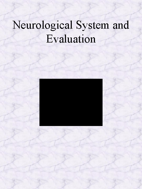 Neurological System and Evaluation 