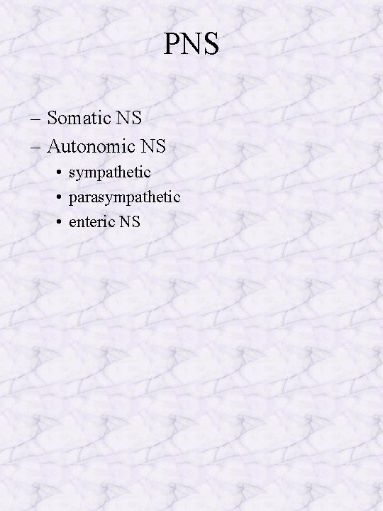 PNS – Somatic NS – Autonomic NS • sympathetic • parasympathetic • enteric NS