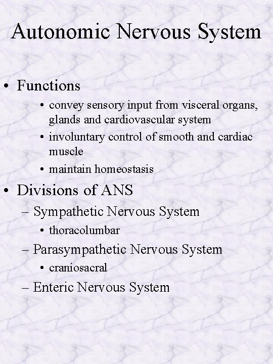 Autonomic Nervous System • Functions • convey sensory input from visceral organs, glands and