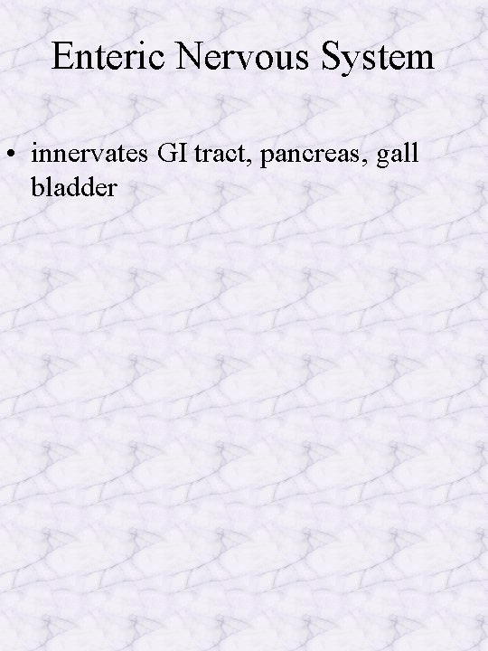 Enteric Nervous System • innervates GI tract, pancreas, gall bladder 