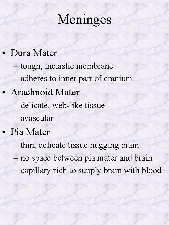 Meninges • Dura Mater – tough, inelastic membrane – adheres to inner part of