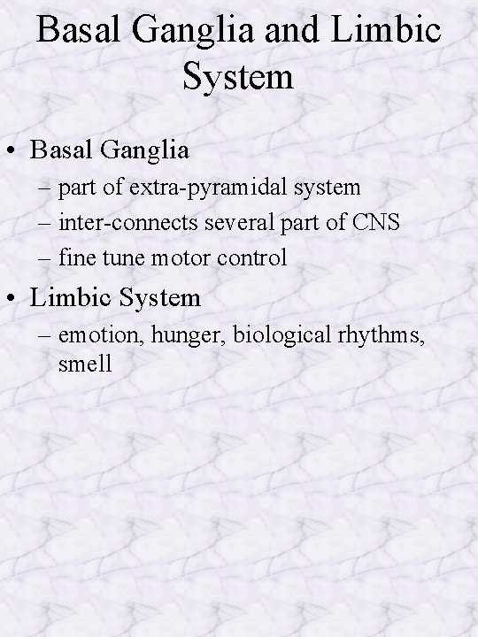 Basal Ganglia and Limbic System • Basal Ganglia – part of extra-pyramidal system –