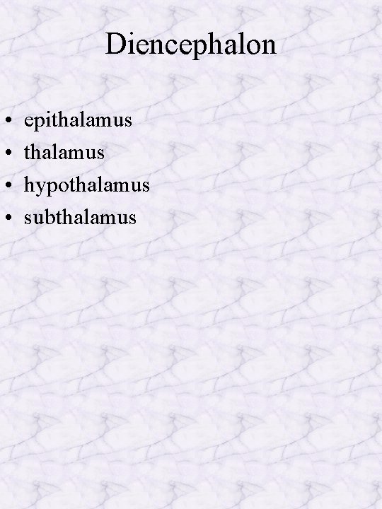 Diencephalon • • epithalamus hypothalamus subthalamus 
