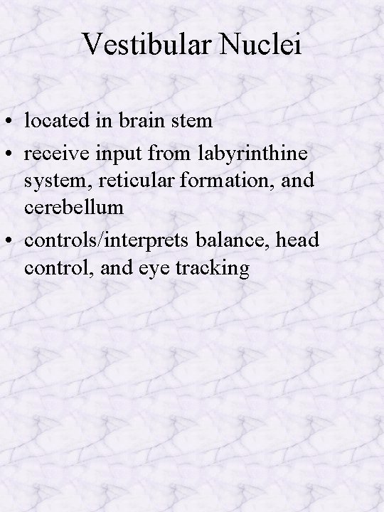 Vestibular Nuclei • located in brain stem • receive input from labyrinthine system, reticular