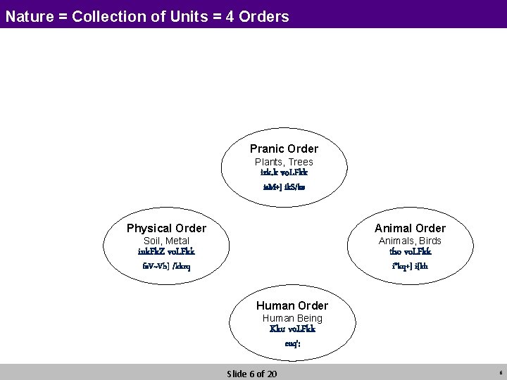 Nature = Collection of Units = 4 Orders Pranic Order Plants, Trees izk. k