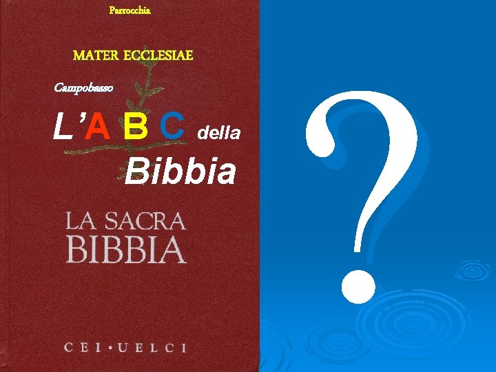 Parrocchia MATER ECCLESIAE Campobasso L’A B C della Bibbia ? 