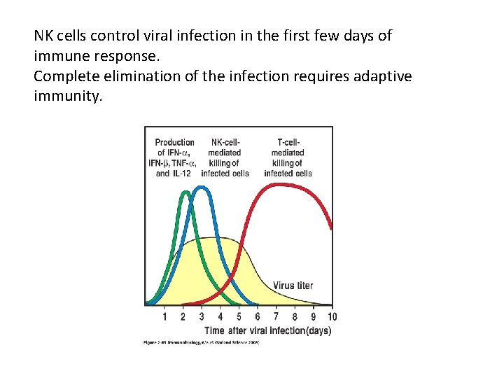 NK cells control viral infection in the first few days of immune response. Complete