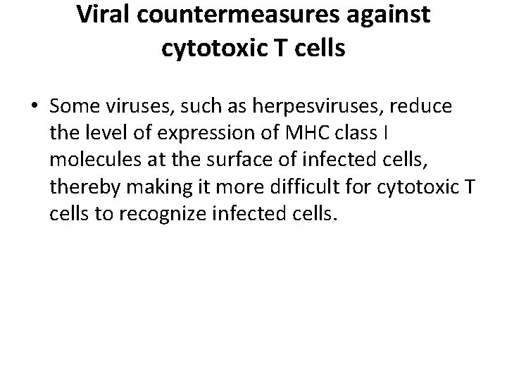 Viral countermeasures against cytotoxic T cells • Some viruses, such as herpesviruses, reduce the