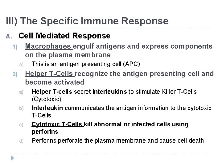 III) The Specific Immune Response Cell Mediated Response A. Macrophages engulf antigens and express III) The Specific Immune Response Cell Mediated Response A. Macrophages engulf antigens and express