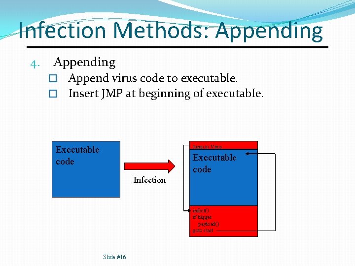 Infection Methods: Appending 4. Appending Append virus code to executable. � Insert JMP at