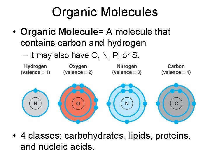 Organic Molecules • Organic Molecule= A molecule that contains carbon and hydrogen – It