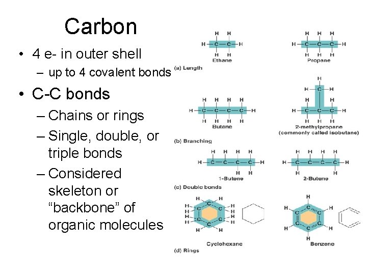 Carbon • 4 e- in outer shell – up to 4 covalent bonds •