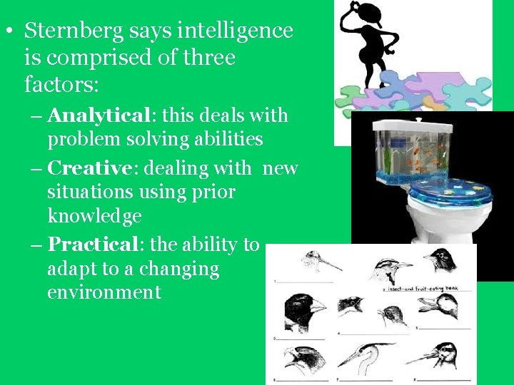 • Sternberg says intelligence is comprised of three factors: – Analytical: this deals • Sternberg says intelligence is comprised of three factors: – Analytical: this deals