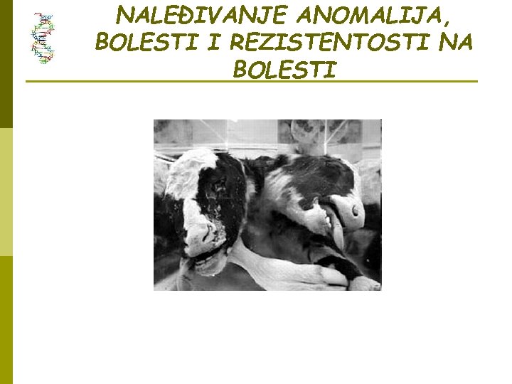 NALEĐIVANJE ANOMALIJA, BOLESTI I REZISTENTOSTI NA BOLESTI 