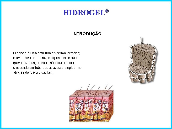 HIDROGEL® INTRODUÇÃO O cabelo é uma estrutura epidermal protéica; é uma estrutura morta, composta