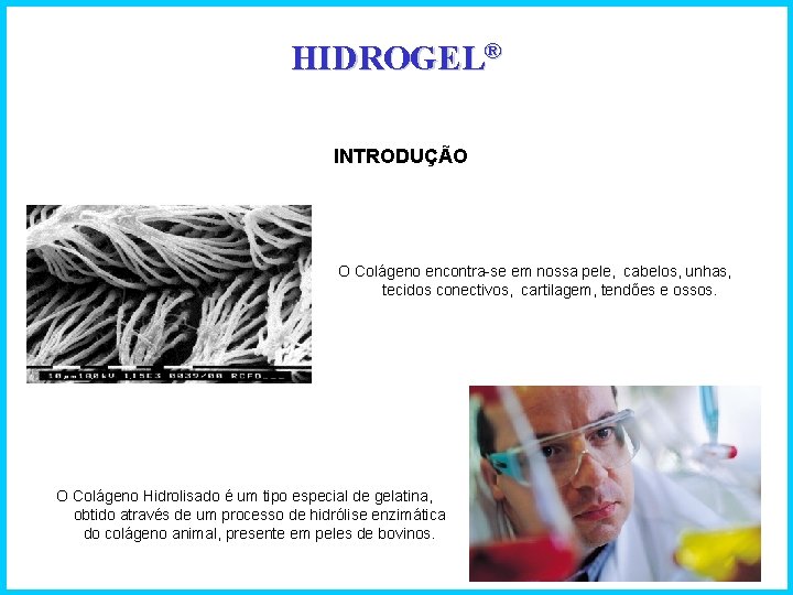 HIDROGEL® INTRODUÇÃO O Colágeno encontra-se em nossa pele, cabelos, unhas, tecidos conectivos, cartilagem, tendões
