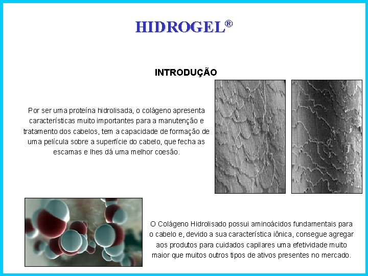 HIDROGEL® INTRODUÇÃO Por ser uma proteína hidrolisada, o colágeno apresenta características muito importantes para