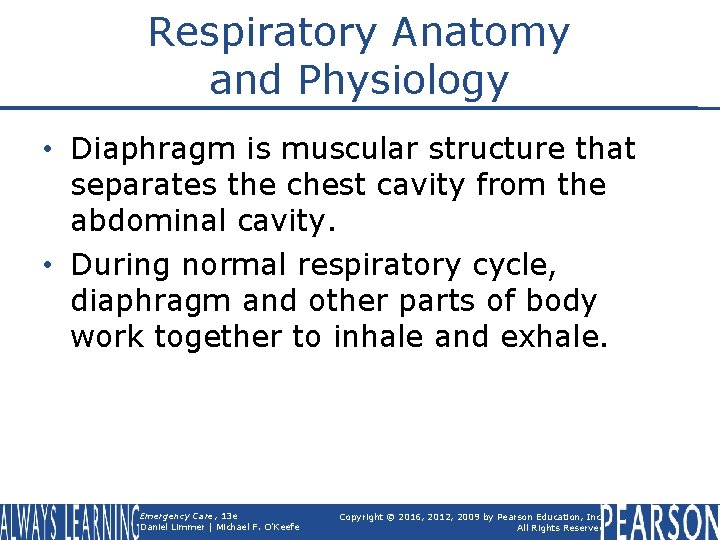 Respiratory Anatomy and Physiology • Diaphragm is muscular structure that separates the chest cavity