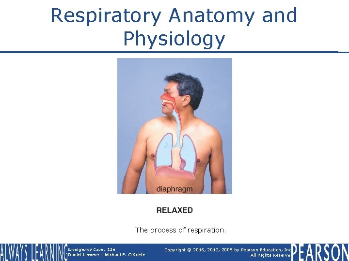 Respiratory Anatomy and Physiology The process of respiration. Emergency Care, 13 e Daniel Limmer