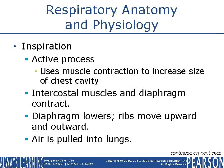 Respiratory Anatomy and Physiology • Inspiration § Active process • Uses muscle contraction to