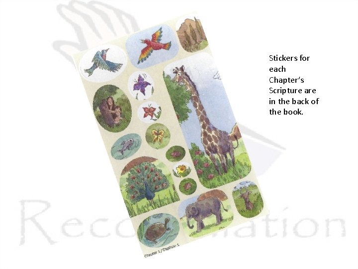 Stickers for each Chapter’s Scripture are in the back of the book. 