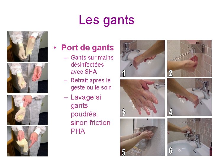 Les gants • Port de gants – Gants sur mains désinfectées avec SHA –