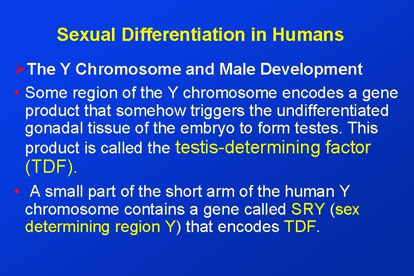 Sexual Differentiation in Humans ØThe Y Chromosome and Male Development • Some region of