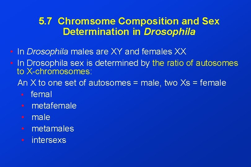 5. 7 Chromsome Composition and Sex Determination in Drosophila • In Drosophila males are