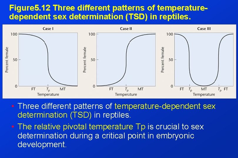 Figure 5. 12 Three different patterns of temperaturedependent sex determination (TSD) in reptiles. •