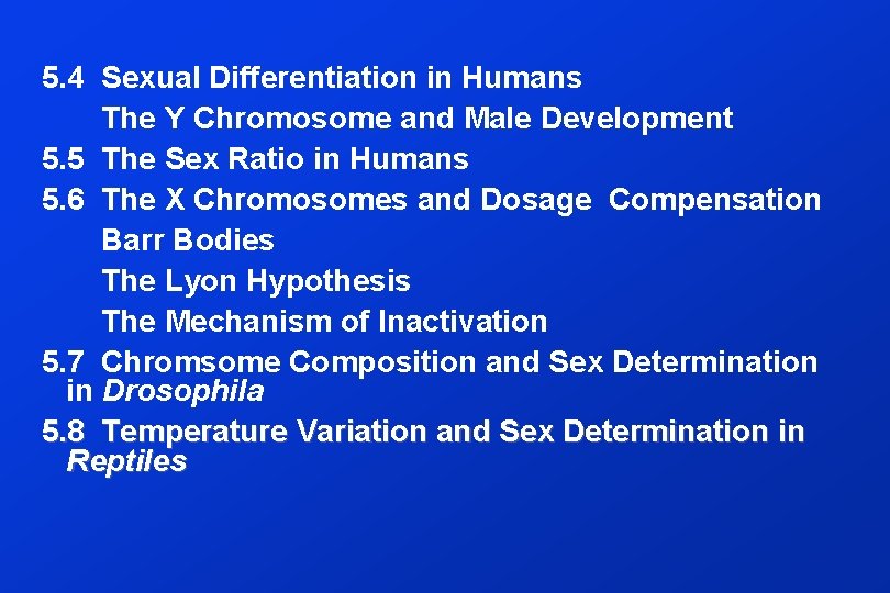 5. 4 Sexual Differentiation in Humans The Y Chromosome and Male Development 5. 5