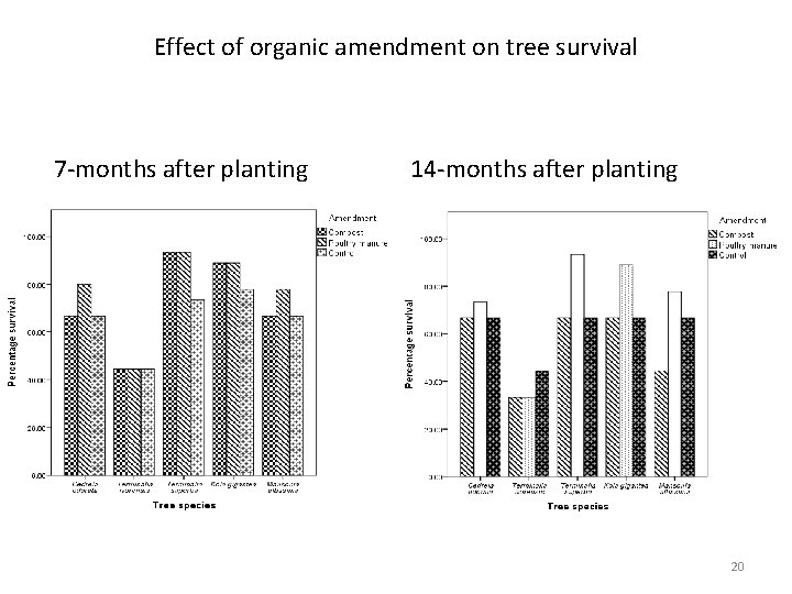 Effect of organic amendment on tree survival 7 -months after planting 14 -months after