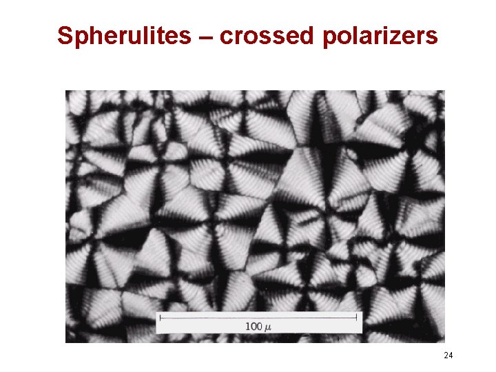 Spherulites – crossed polarizers 24 Spherulites – crossed polarizers 24