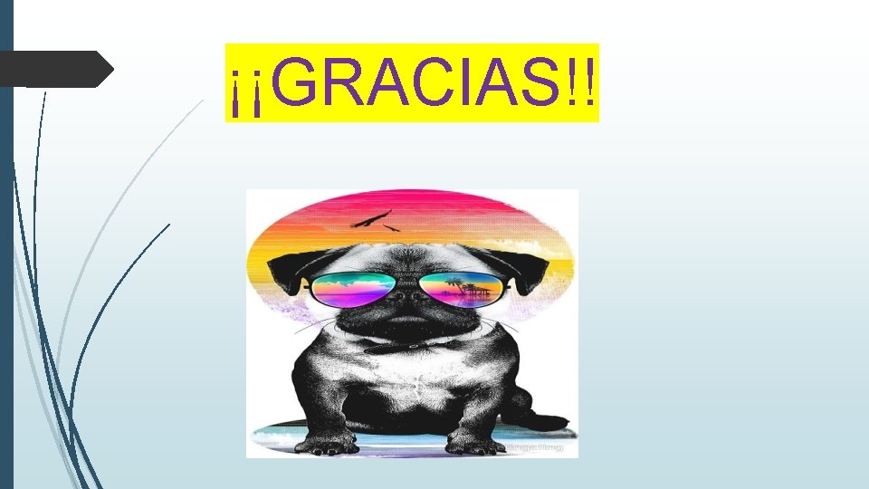 ¡¡GRACIAS!! 