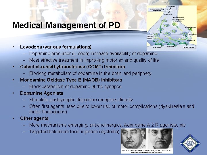 Medical Management of PD • • • Levodopa (various formulations) – Dopamine precursor (L-dopa) Medical Management of PD • • • Levodopa (various formulations) – Dopamine precursor (L-dopa)