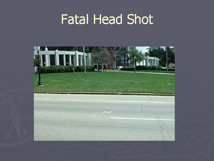 Fatal Head Shot 