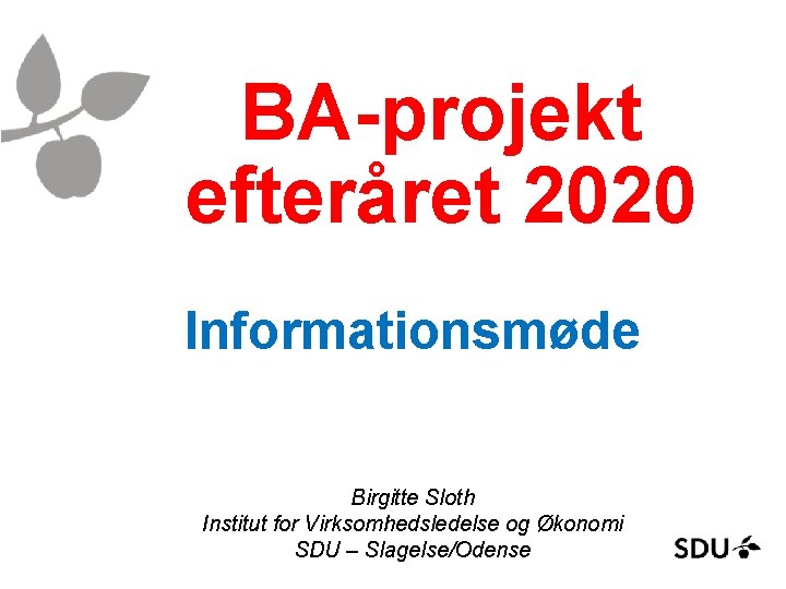 BA-projekt efteråret 2020 Informationsmøde Birgitte Sloth Institut for Virksomhedsledelse og Økonomi SDU – Slagelse/Odense