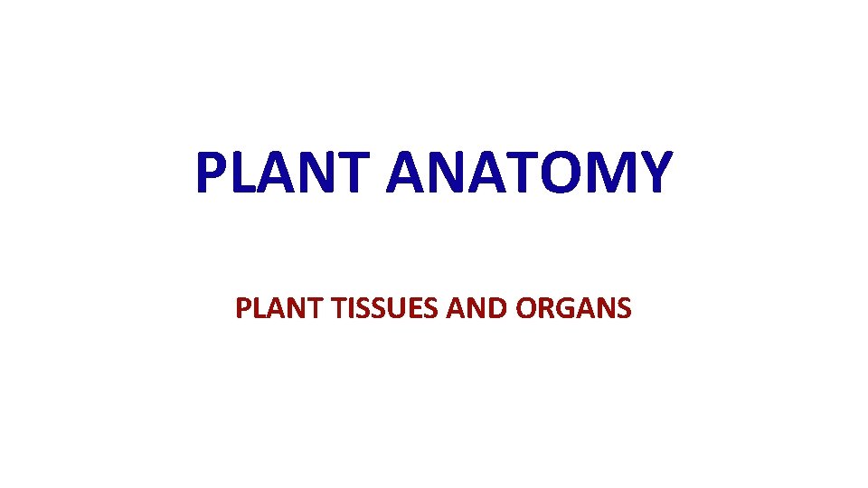 PLANT ANATOMY PLANT TISSUES AND ORGANS 