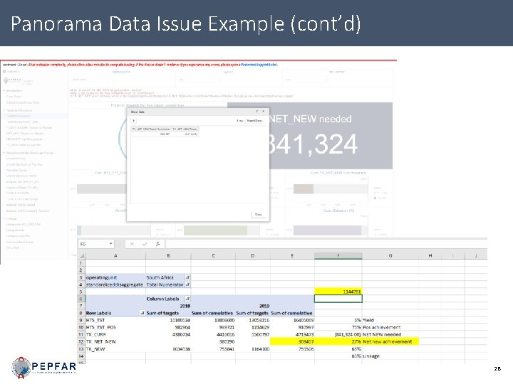 Panorama Data Issue Example (cont’d) 28 