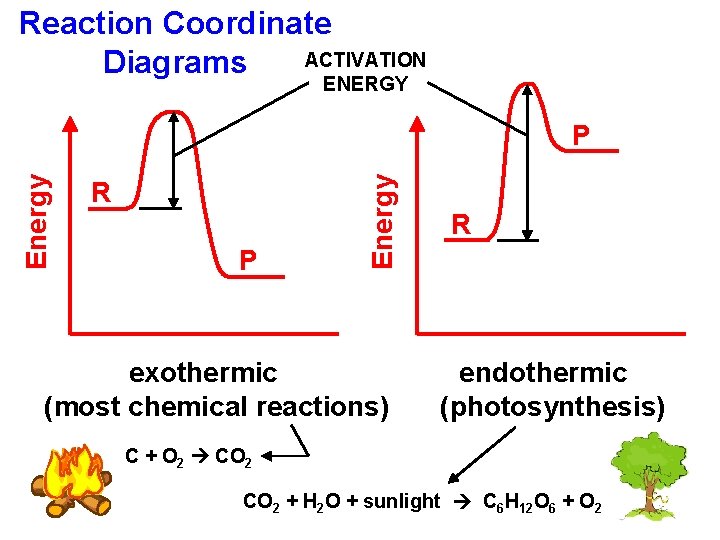 Reaction Coordinate ACTIVATION Diagrams ENERGY R P Energy P exothermic (most chemical reactions) R