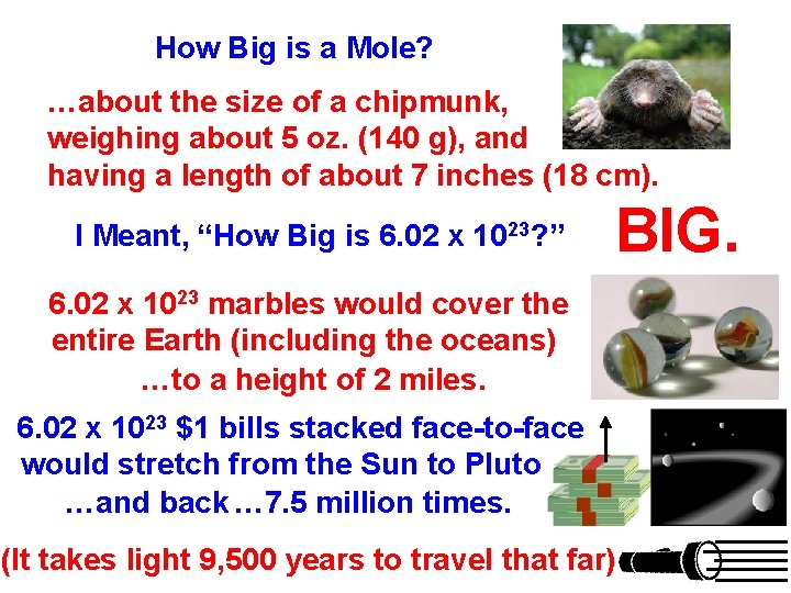 How Big is a Mole? …about the size of a chipmunk, weighing about 5