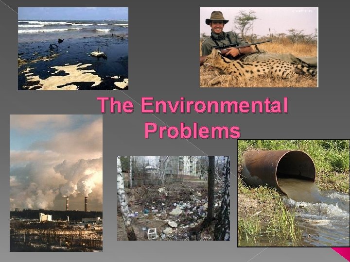 The Environmental Problems 