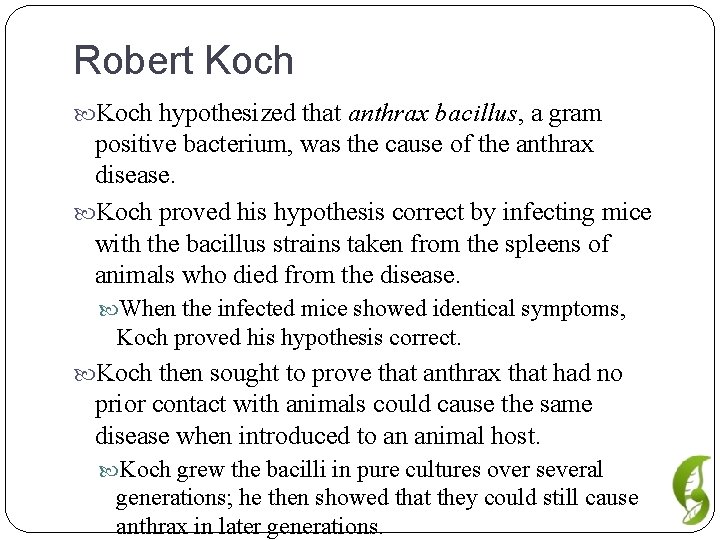 Robert Koch hypothesized that anthrax bacillus, a gram positive bacterium, was the cause of