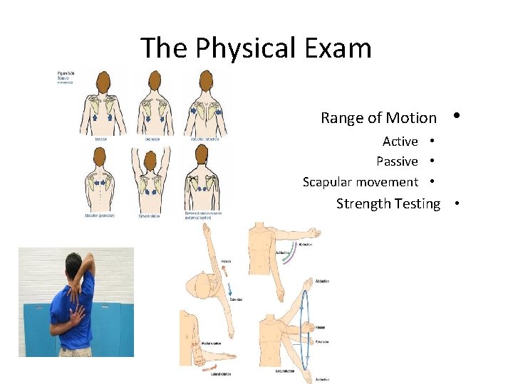 The Physical Exam Range of Motion • Active • Passive • Scapular movement •