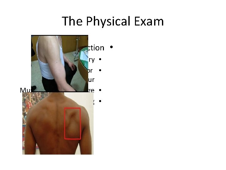 The Physical Exam Inspection • Asymmetry Bony deformity or abnormal contour Muscle atrophy or