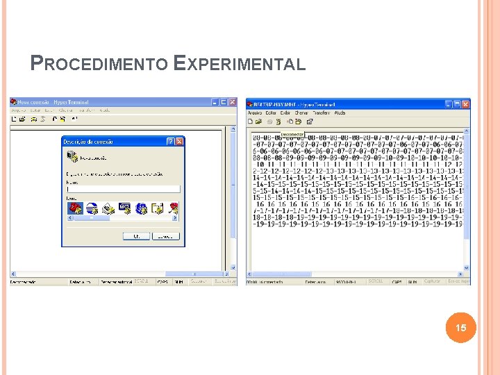 PROCEDIMENTO EXPERIMENTAL 15 