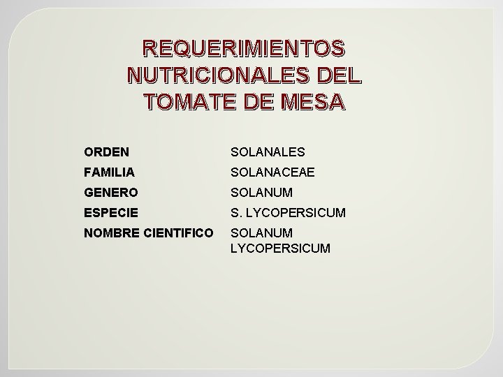 REQUERIMIENTOS NUTRICIONALES DEL TOMATE DE MESA ORDEN SOLANALES FAMILIA SOLANACEAE GENERO SOLANUM ESPECIE S.